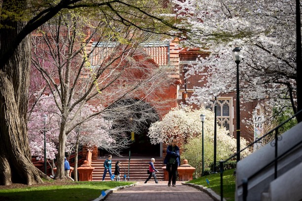 A wide view of people walking on Penn's campus. Tree leaves are in bloom.