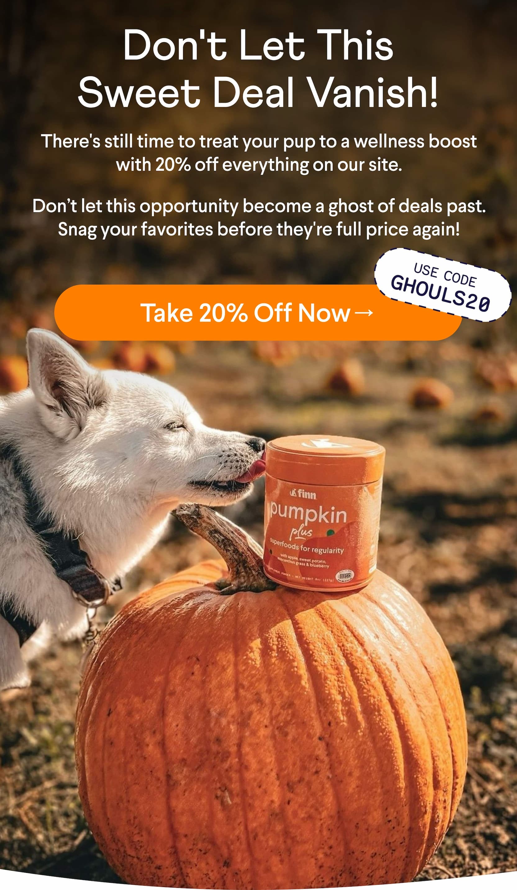 Text: Don't let this sweet deal vanish! There's still time to treat your pup to a wellness boost with 20% off everything on our site.  Don’t let this opportunity become a ghost of deals past. Snag your favorites before they're full price again!  CTA: Take 20% Off Now → Use Code GHOULS20