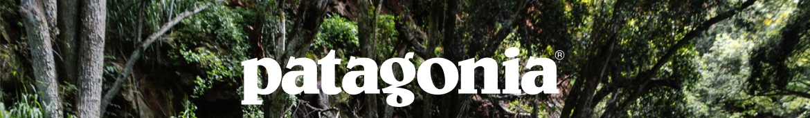 Patagonia.