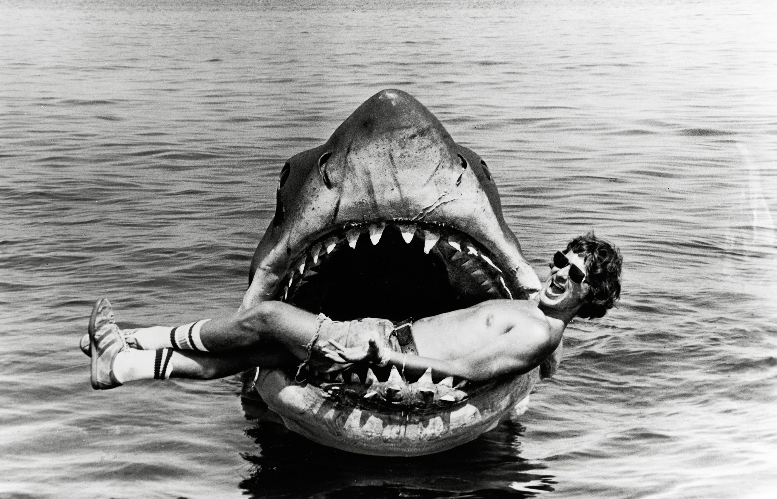  “Jaws” 