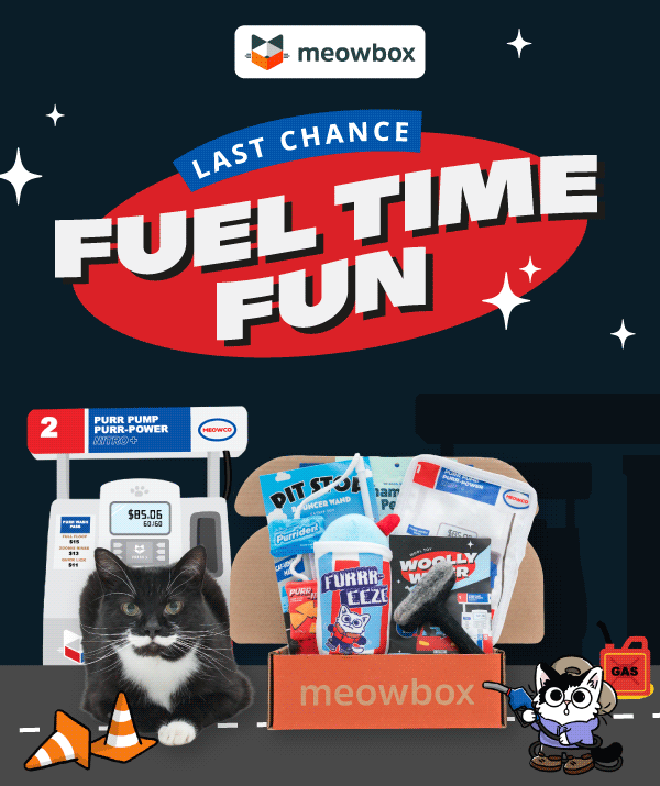 Last Chance! Fuel time fun. Image of a black white spotted cat next to the Purr Pump meowbox (featuring toys like the Pit Stop Pouncer Wand, Woolly Wiper 100% Wool Toy, Chill Thrillz Kicker toys and more)