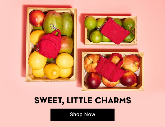 Bag Charms