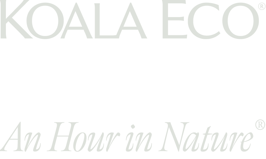 Koala Eco: An Hour in Nature