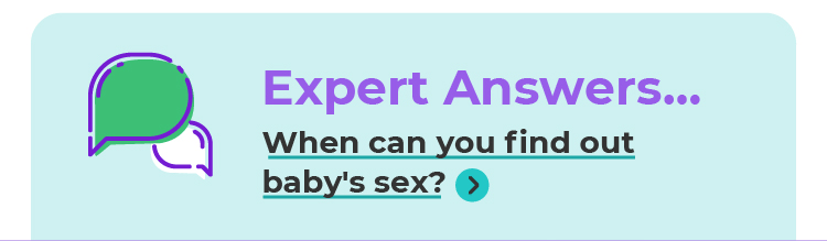 Expert Answers...