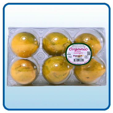 Organic Ataulfo Mangos, 6-Count