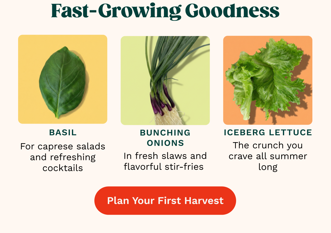 [ Plan Your First Harvest ]