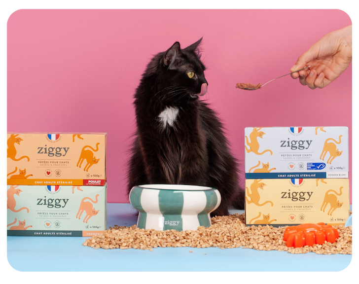 Les pâtées Ziggy