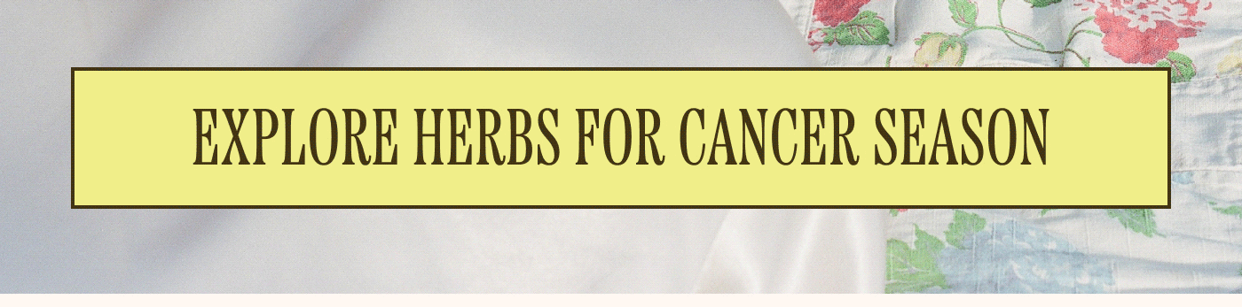 [Explore herbs for Cancer season]