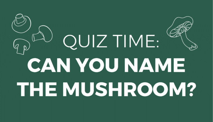 CAN YOU NAME THE MUSHROOM?