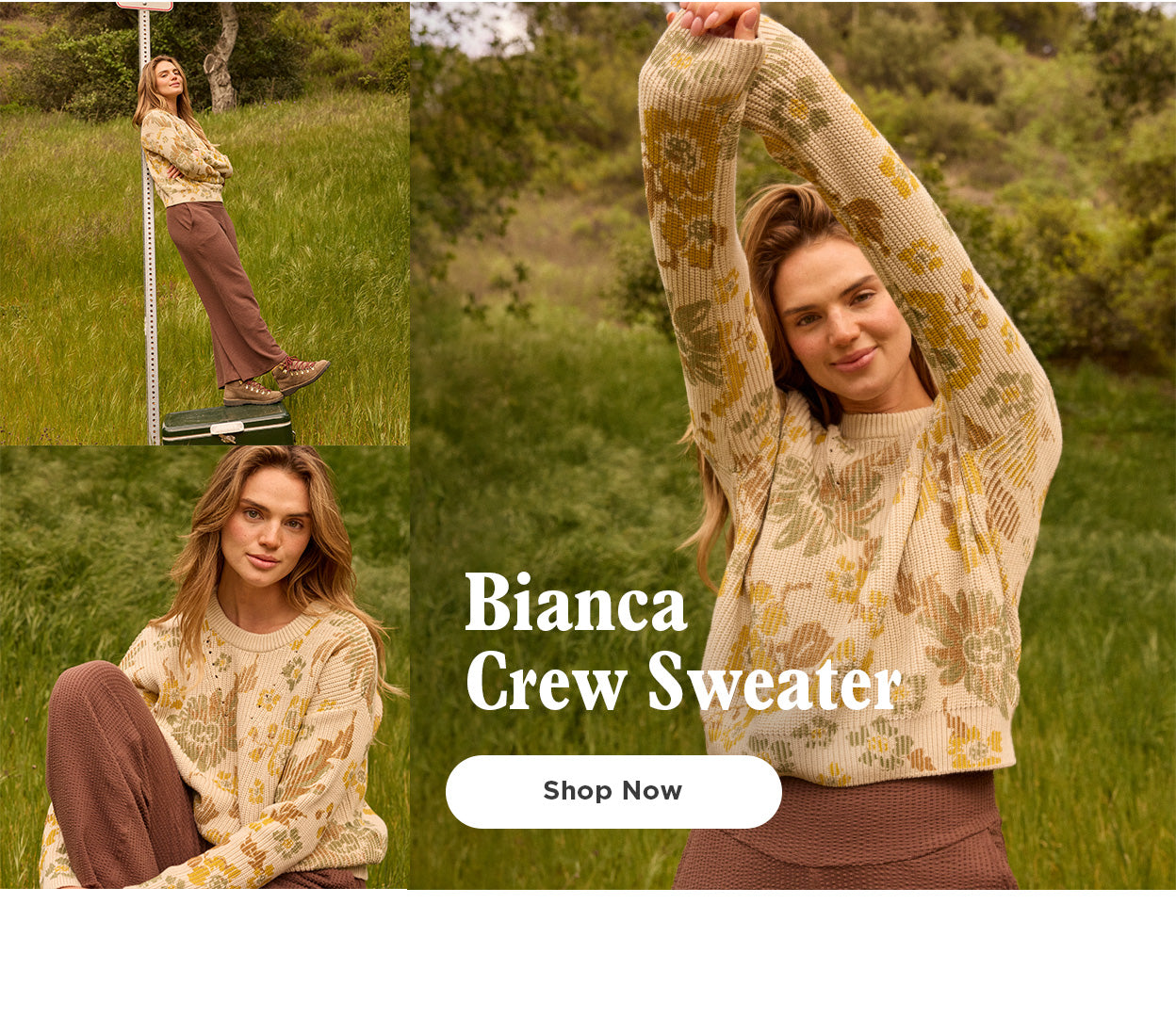 Wasatch Crew Sweater