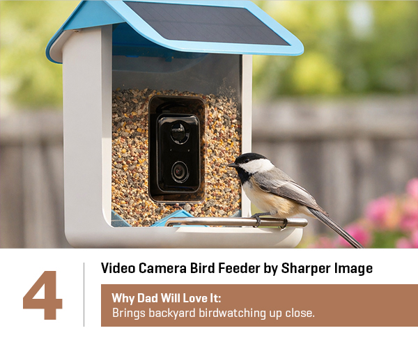 Video Camera Bird Feeder by Sharper Image