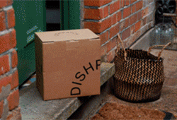 Animated GIF of how Dishpatch works