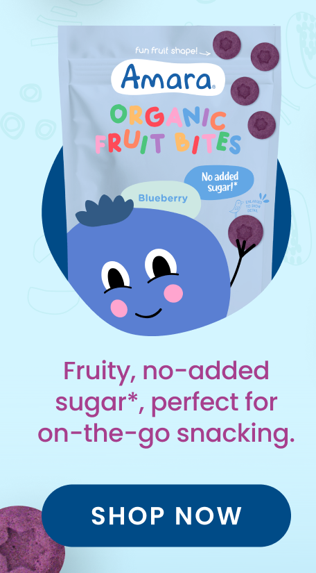 Blueberry Fruit Bites