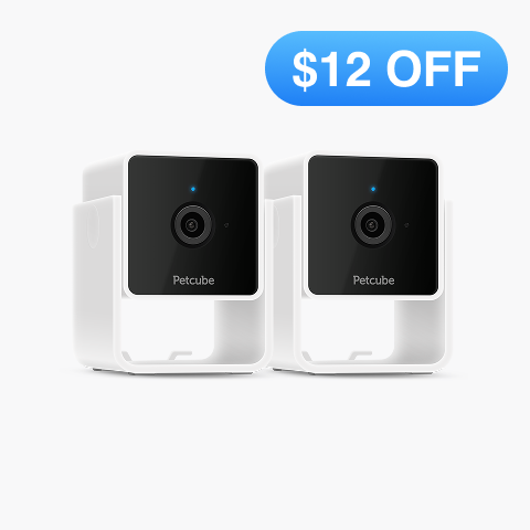 Cam 2 Pack