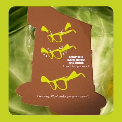 The Shrek Life Chose Me Packaging Detail