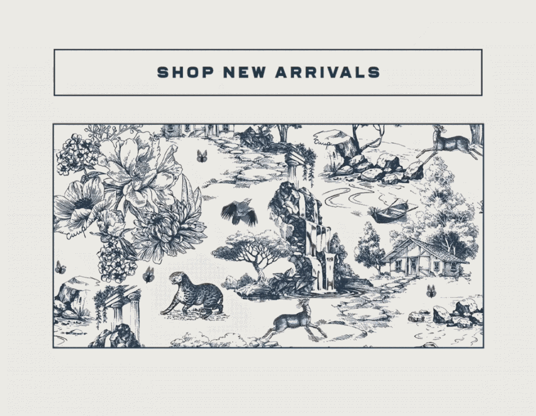 Shop New Arrivals