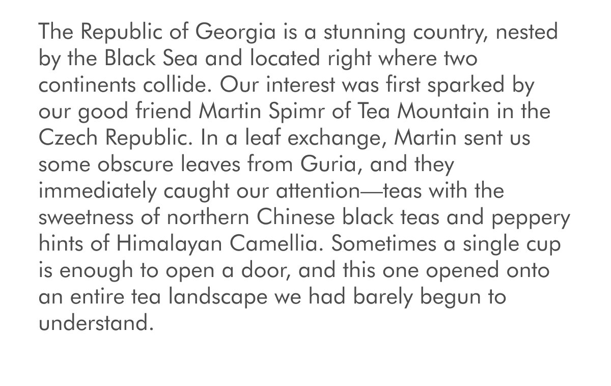 Georgian Tea: Black Sea Origins, Wild Cultivars & A Modern Revival Discover tea in the Republic of Georgia! We’re endlessly drawn to places that feel just slightly beyond the map’s edge—places where culture, language, landscape, and craft still retain a sense of mystery. That spirit of discovery is what led us in the summer of 2025 to the Republic of Georgia, and it paid off with some fantastic leaves to share at our tea bar. The Republic of Georgia is a stunning country, nested by the Black Sea and located right where two continents collide. Our interest was first sparked by our good friend Martin Spimr of Tea Mountain in the Czech Republic. In a leaf exchange, Martin sent us some obscure leaves from Guria, and they immediately caught our attention—teas with the sweetness of northern Chinese black teas and peppery hints of Himalayan Camellia. Sometimes a single cup is enough to open a door, and this one opened onto an entire tea landscape we had barely begun to understand.