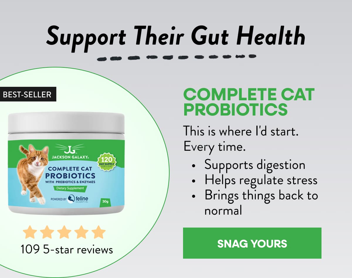 Fix their gut