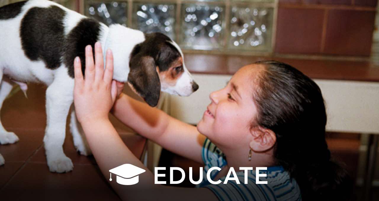 EDUCATE
