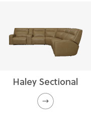Shop Haley Sectional