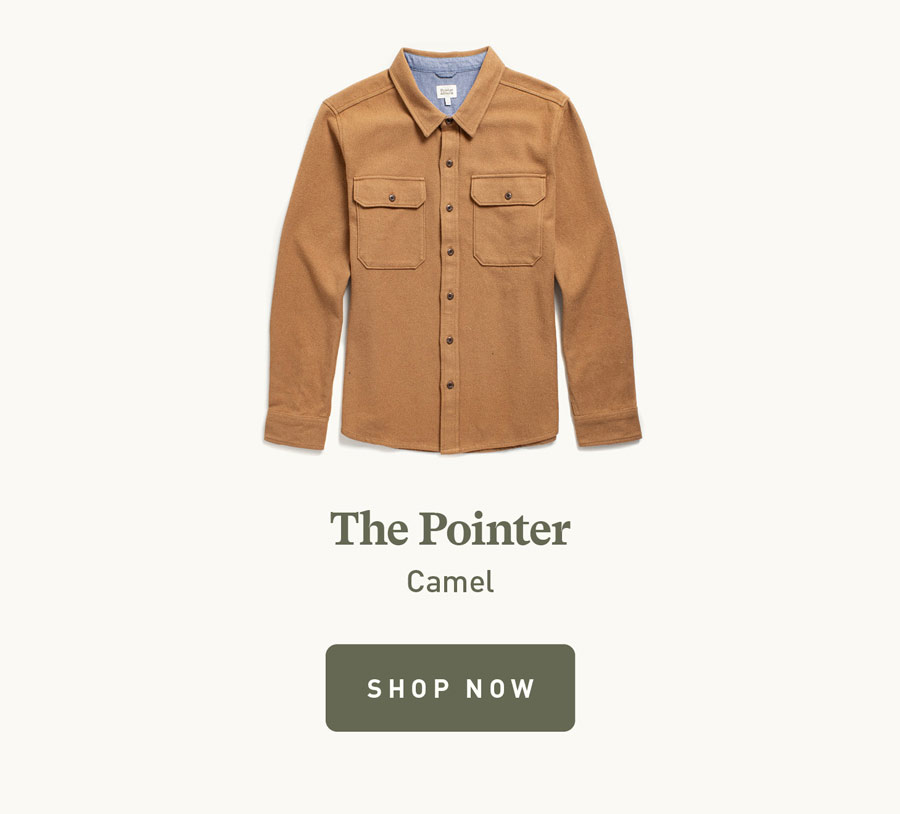 Pointer Camel