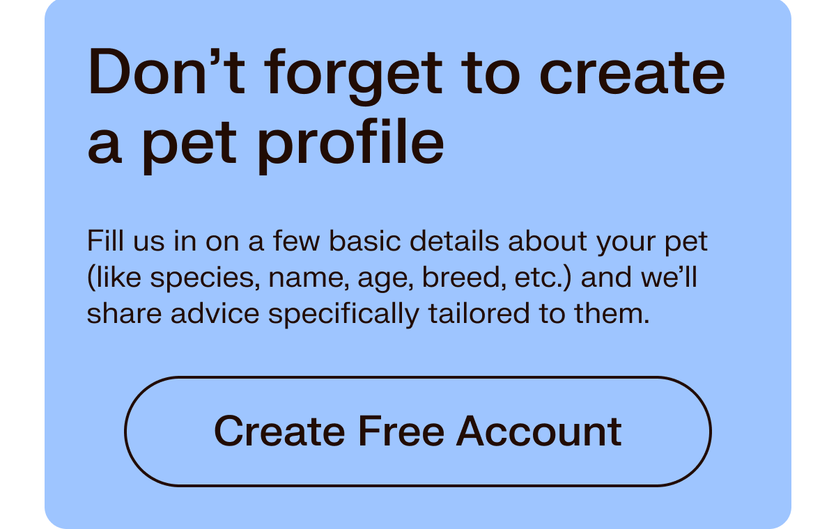 Don't forget to creae a pet profile