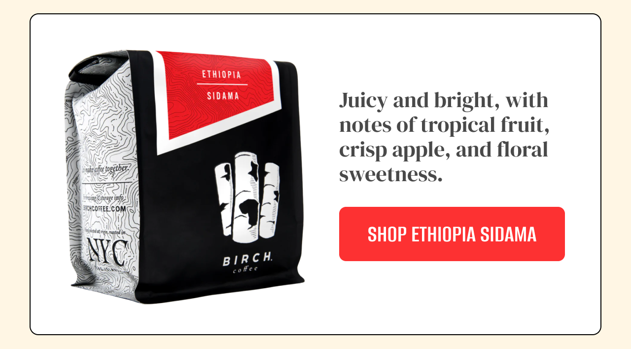 Ethiopia Sidama