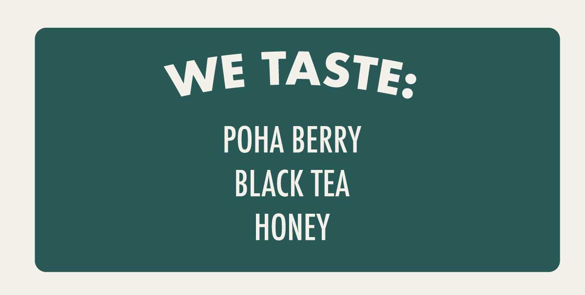 WE TASTE: POHA BERRY, BLACK TEA, HONEY