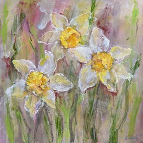 Daffodils