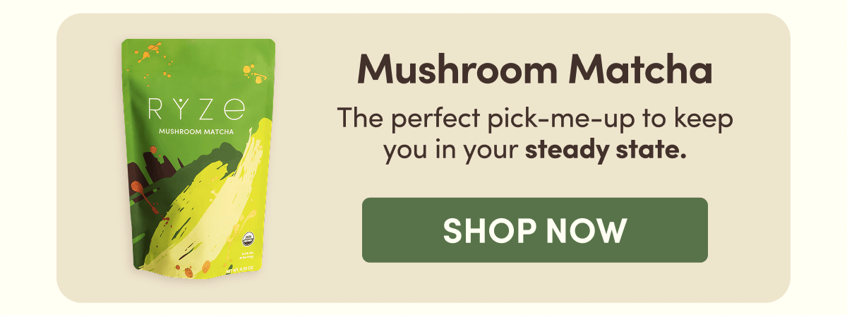 Mushroom Matcha | The perfect pick-me-up to keep you in your steady state. | Shop Now