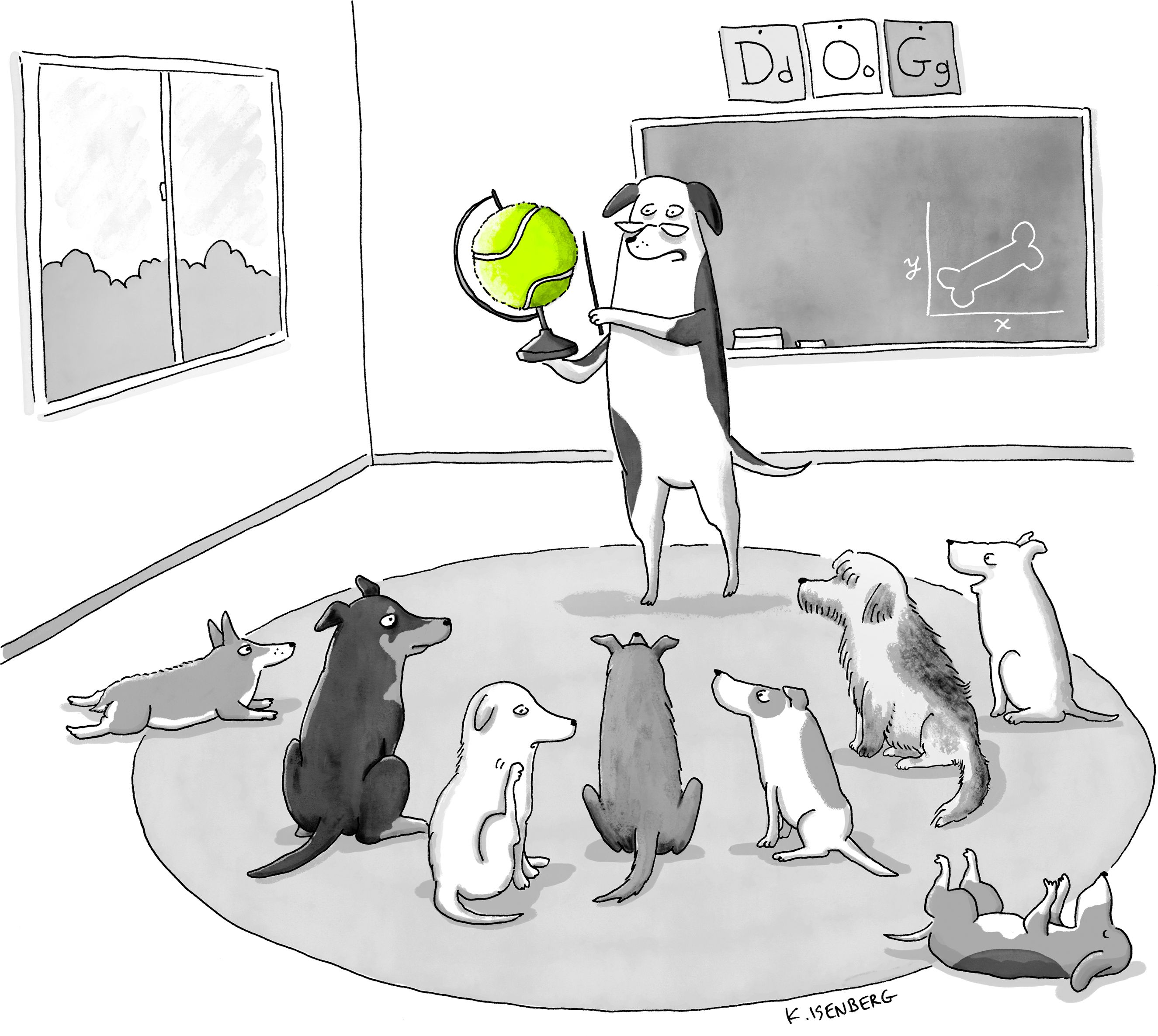 A big dog holds up a tennis-ball globe in a classroom of puppies.