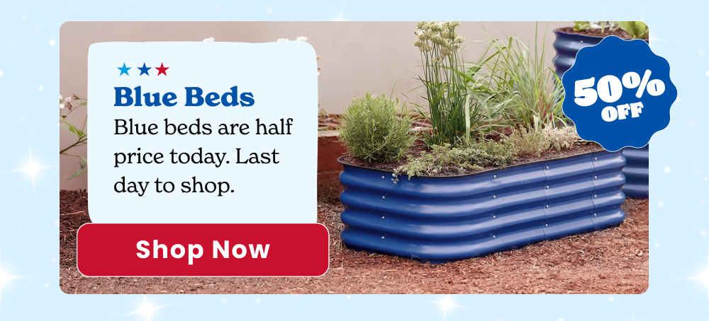 The deepest discount we run all year. Every blue bed in the lineup is 50% off right now. These go fast.