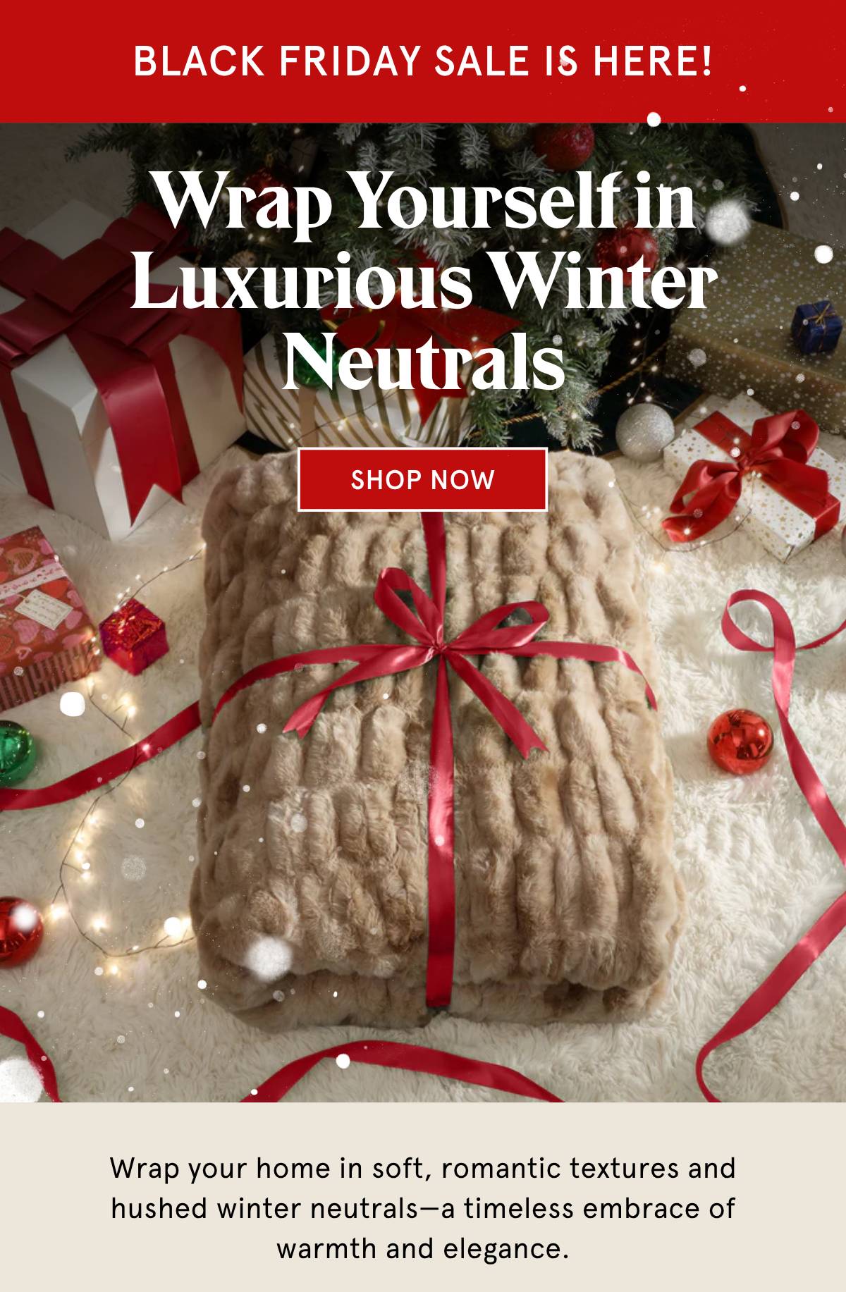 Winter Neutrals