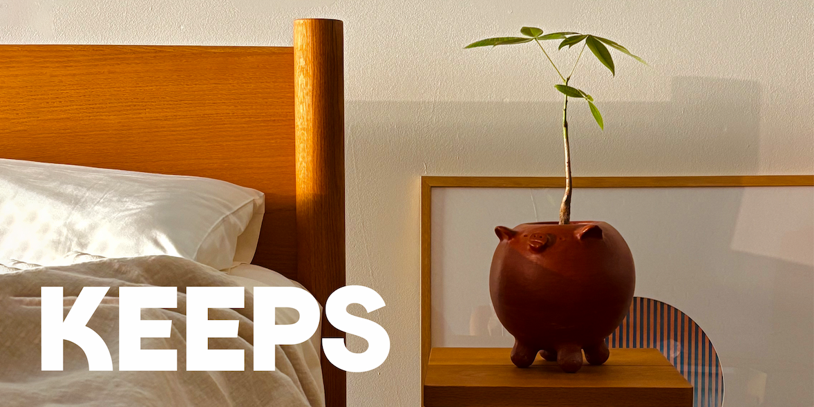 Keeps Home Architect Bed Frame in honey morning light with plant in pig vase