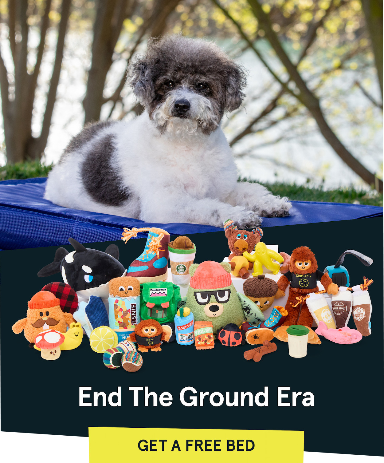End The Ground Era | Get A Free Bed