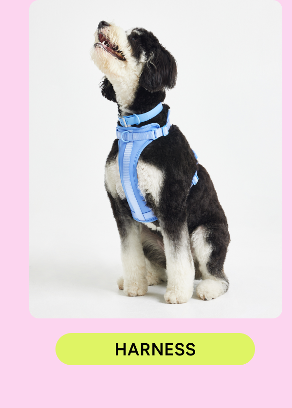 harness