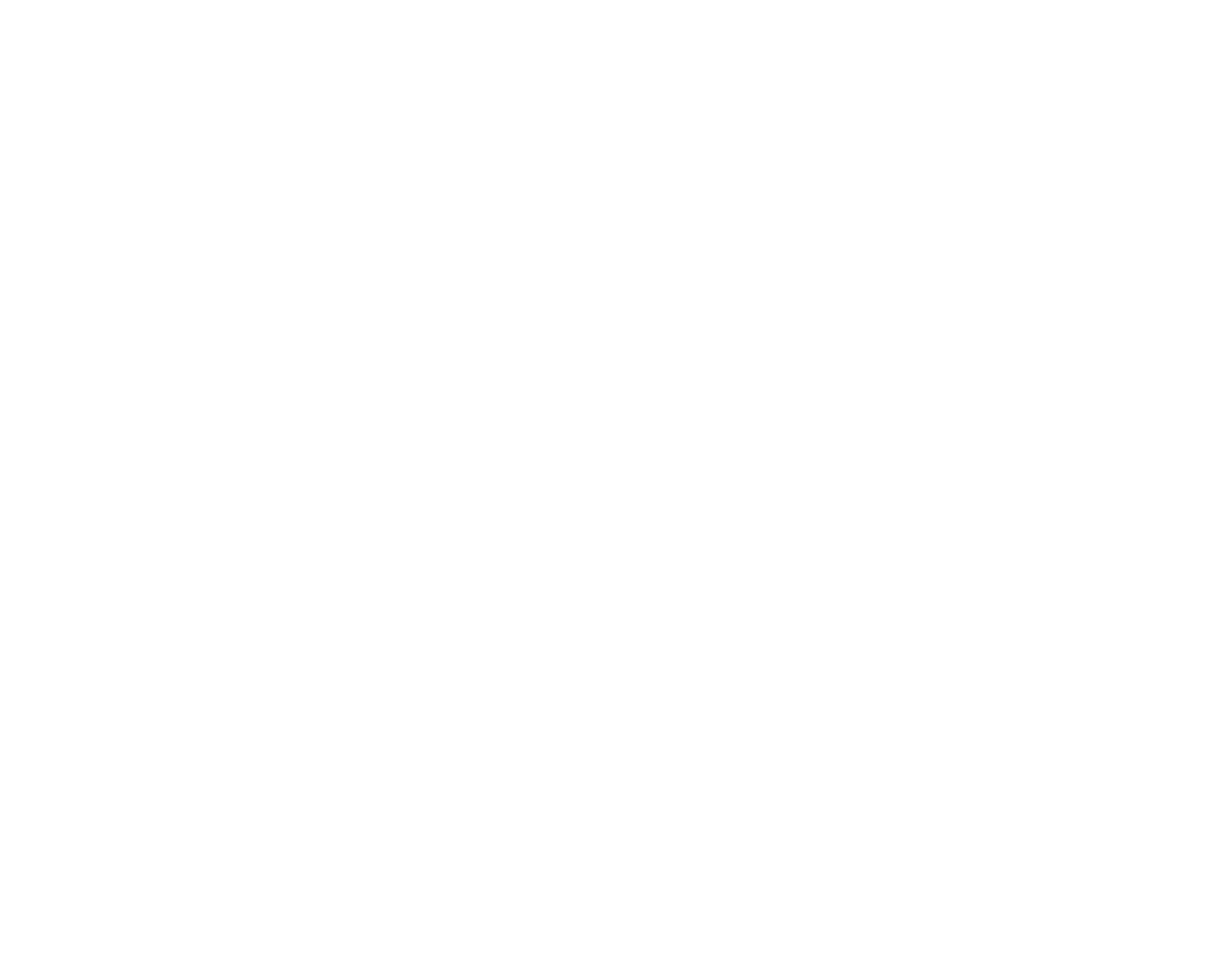 Financing