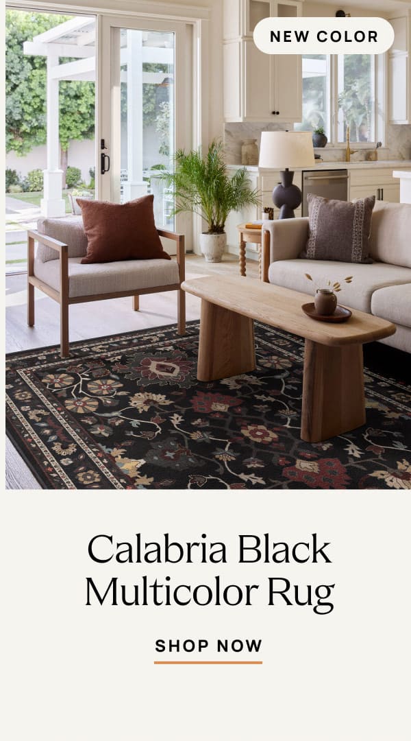 Calabria Black Multicolor Rug 