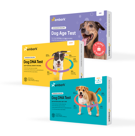 A trio of Embark DNA Tests: a Breed + Health Test, a Breed ID Test, and an Age Test
