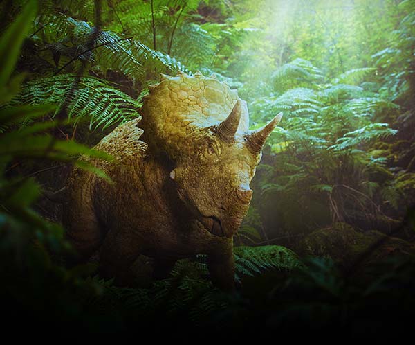 Clover the Triceratops, a large quadrupedal herbivore with three horns and a bony frill, walking through a dense jungle