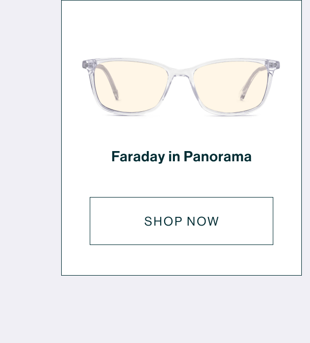 Faraday in Panorama