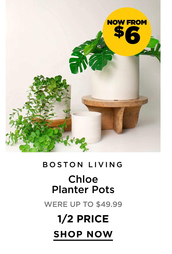 Now From $6 Boston Living Chloe Planter Pots