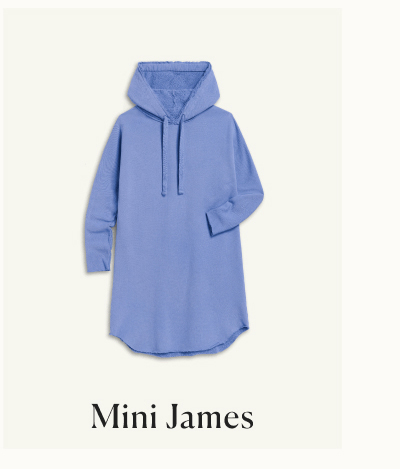 mini james