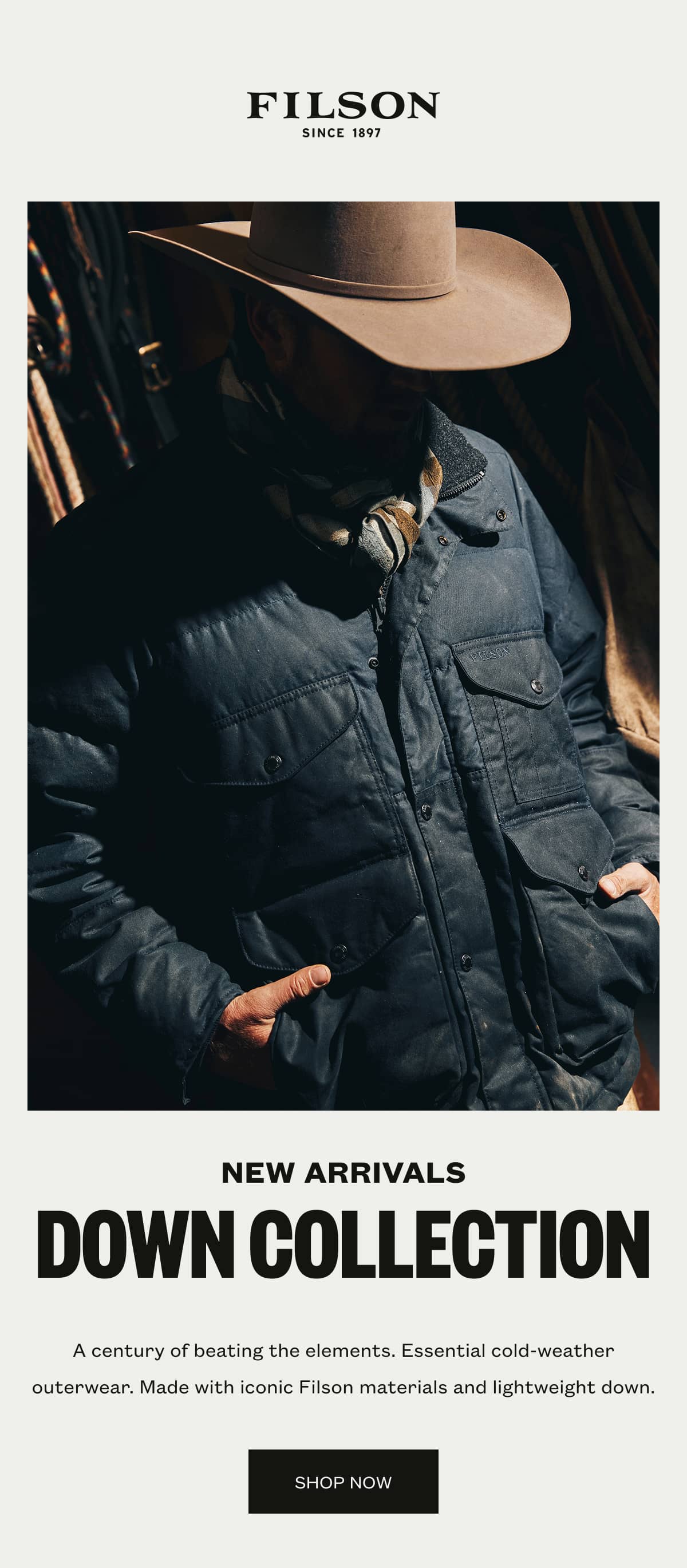 New Arrivals - Down Collection 
