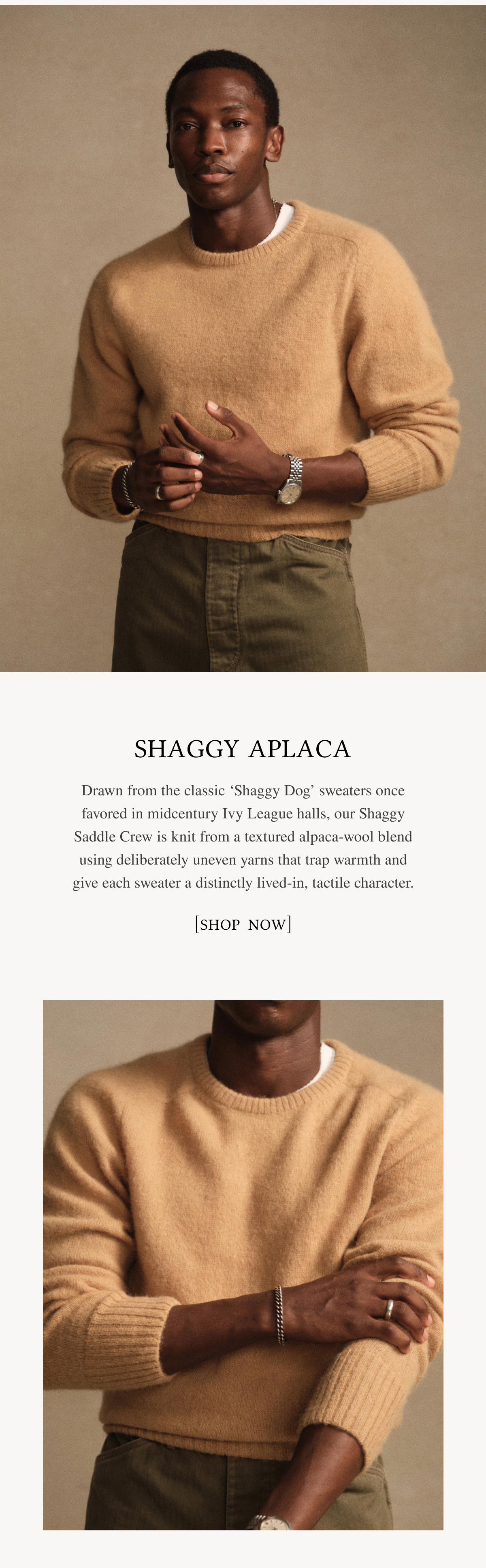Shaggy