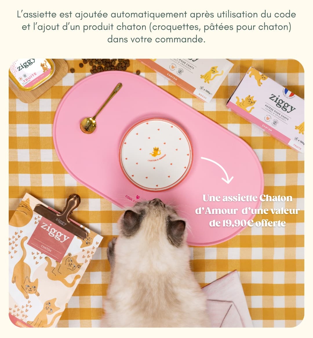 Une assiette chaton d'amour offerte