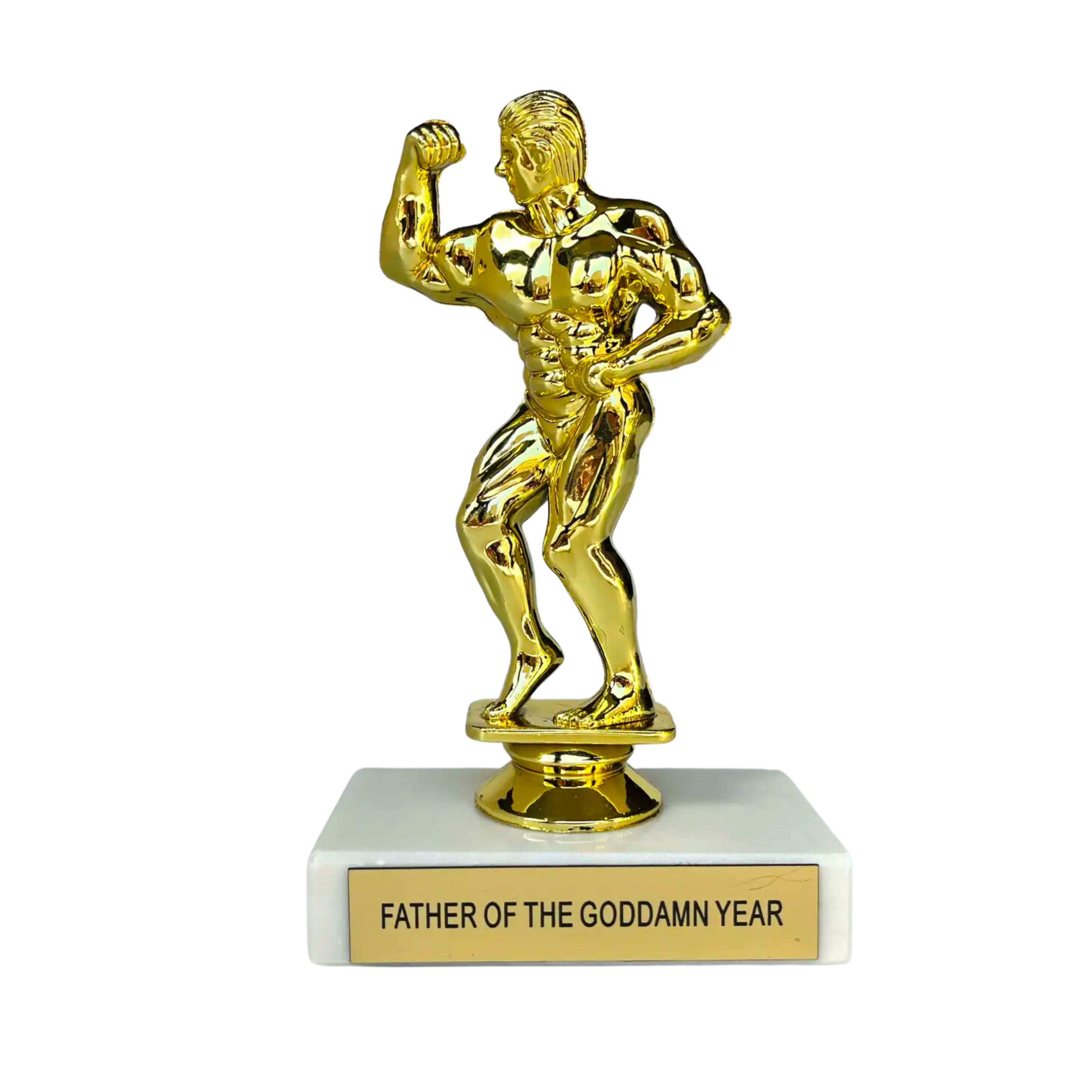 Image of Father of the Goddamn Year Participation Trophy