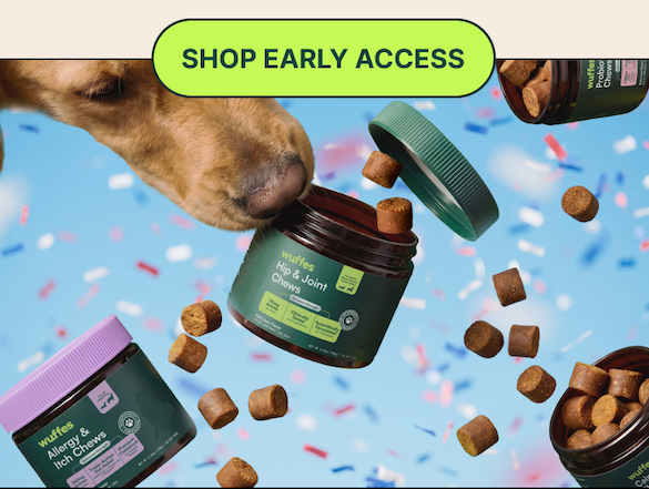 Dog with products