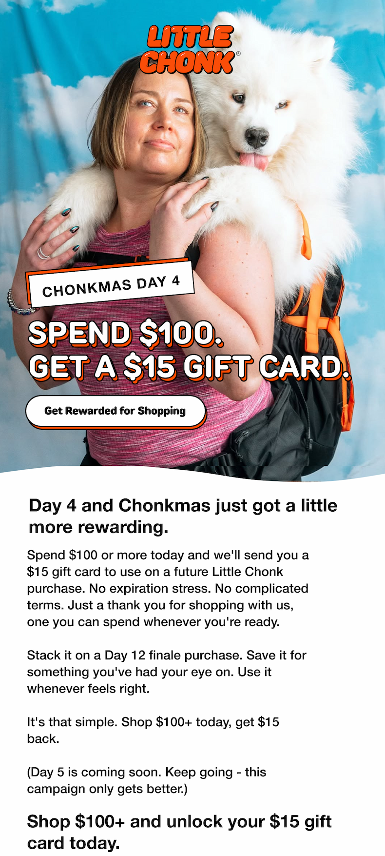 SPEND $100.  GET A $15 GIFT CARD.
