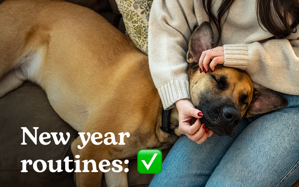 New year routines: ✅